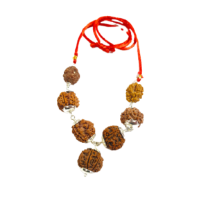 1 Mukhi Combinations