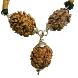 2 Mukhi Combinations