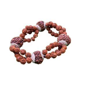 4 Mukhi Combinations