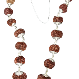 Rudraksha:1 to 21, Ganesh