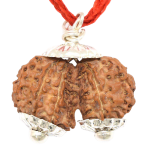 Gaurishankar Rudraksha