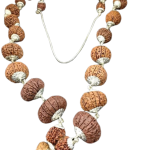 Rudraksha Shahi indrani mala