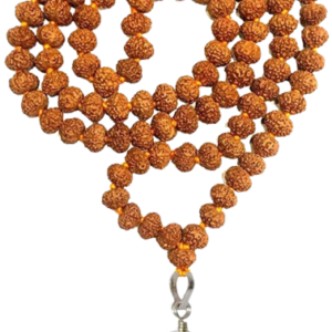 Rudraksha Sets