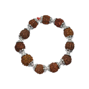 Rudraksha Sidhshakti Bracelet